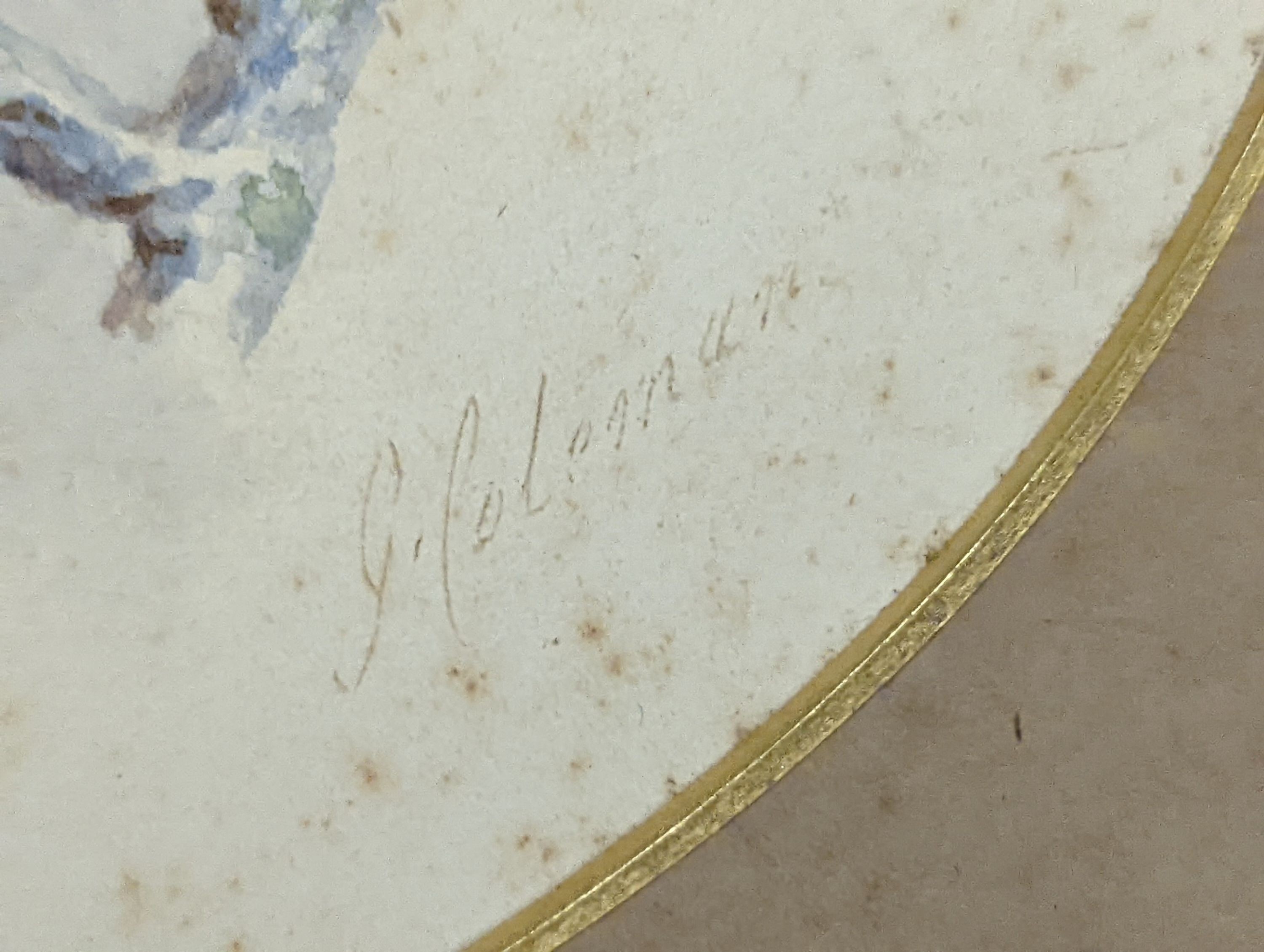 G. Coleman (19th C.), pair of watercolours, Hummingbirds beside nests, signed, 16 x 21cm, unframed